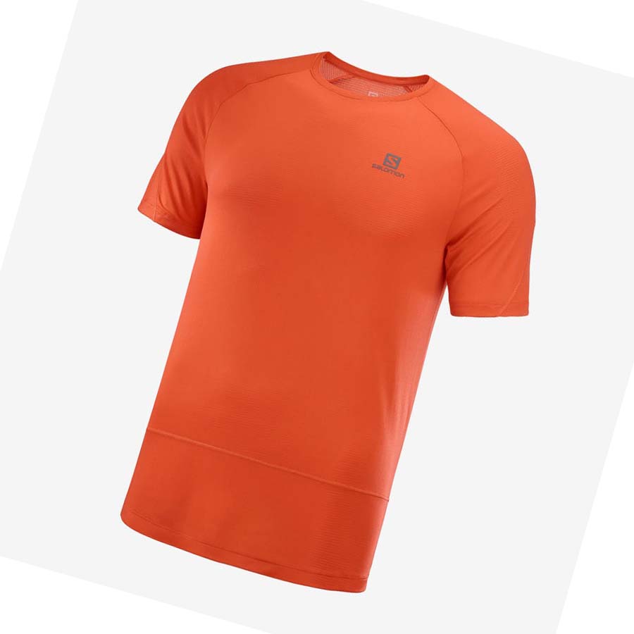 Camiseta Salomon CROSS RUN Hombre Naranjas | MX 3231YXF